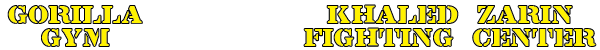 Virtuagym logo