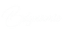 Virtuagym logo