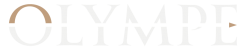Virtuagym logo