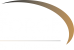 Virtuagym logo