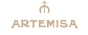 Virtuagym logo
