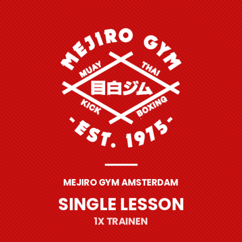 Single Lesson