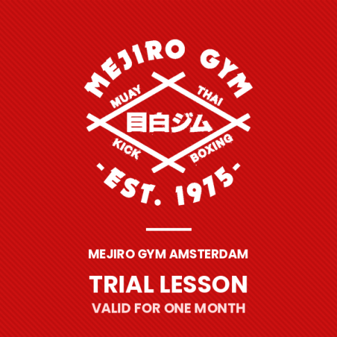 Trial Lesson