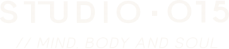 Virtuagym logo