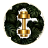 Virtuagym logo