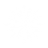 Virtuagym logo